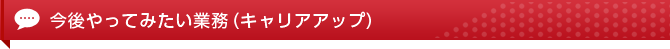 今後やってみたい業務（キャリアアップ）